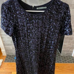 Velvet Blue Dress